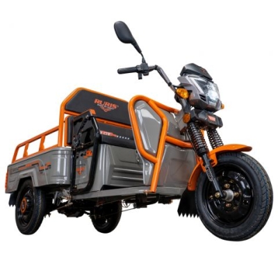 Електрическа карго триколка RURIS Pilot 3110G