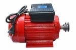 ДВИГАТЕЛ ЕЛ. 2.5KW 3000rpm TROIAN GF-1158