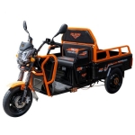Електрическа карго триколка RURIS Pilot 3110N 
